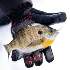 Eskimo Buffalo Plaid Glomitt -Fishing Discount Shop 1165381 800 auto