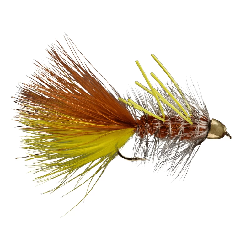 RIO CH RL JJ Special Fly 1 RIO CH RL JJ Special Fly