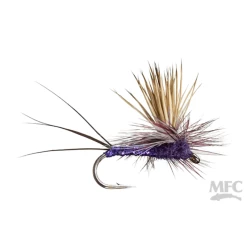 MFC Keller's Rocky Mountain Mint Fly