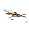 MFC Card's Cicada Fly (12 Count)