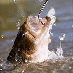 Hawkeye Marine Sonic Laser Scale SP -Fishing Discount Shop 1307049 800 auto